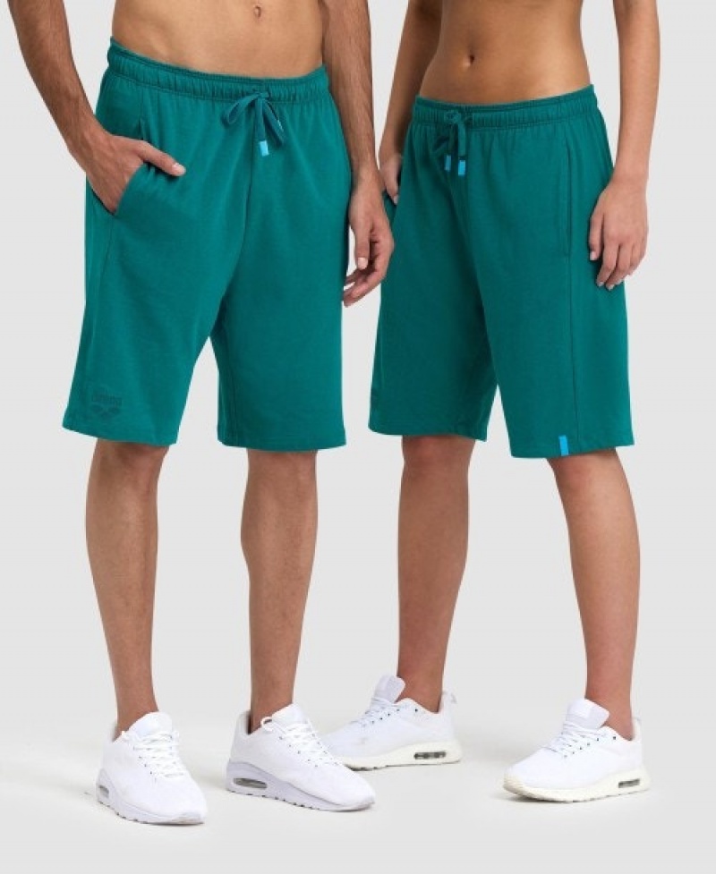 Turquoise Arena Team Solid Men\'s Shorts | 32353102